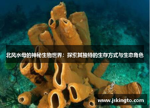 北风水母的神秘生物世界：探索其独特的生存方式与生态角色